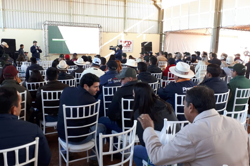 Premix destacou as melhores ferramentas tecnológicas em dia de campo na Fazenda Guadiana, em Martinópolis (SP)