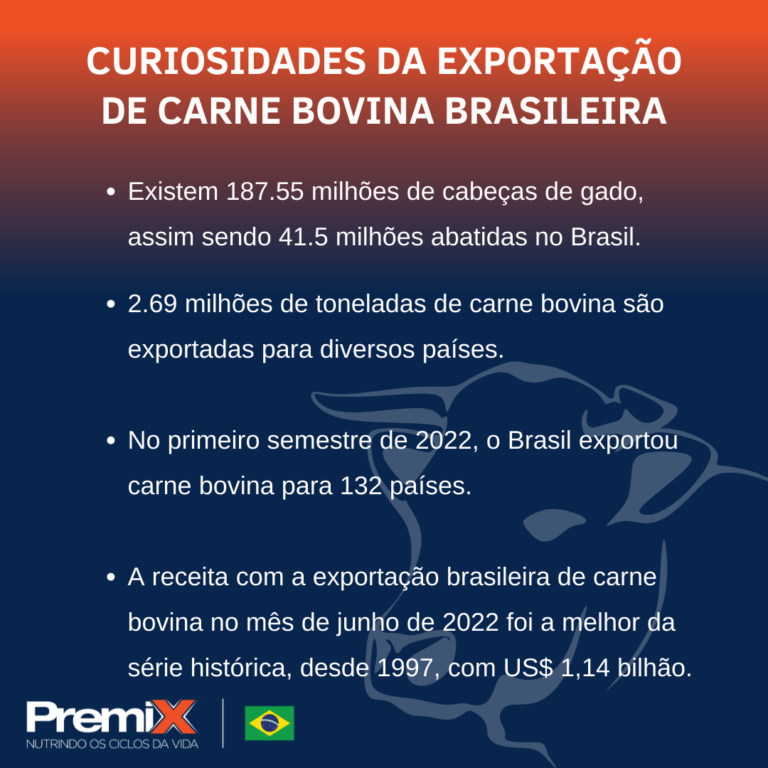 Exportação De Carne Bovina, Conheça 10 Curiosidades! - Blog Premix