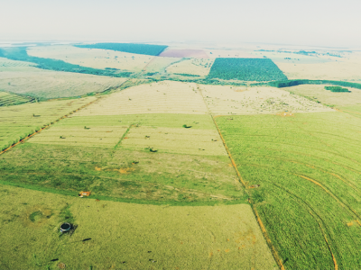 Foto aérea de propriedade rural com área de reserva legal ao fundo.