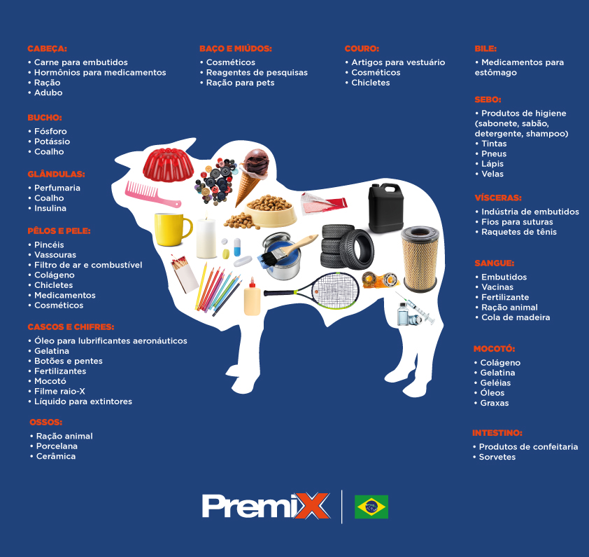 Infográfico com informações dos coprodutos derivados do bovino. 