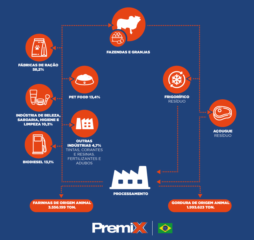Infográfico do processamento de coprodutos da indústria da carne no Brasil. 