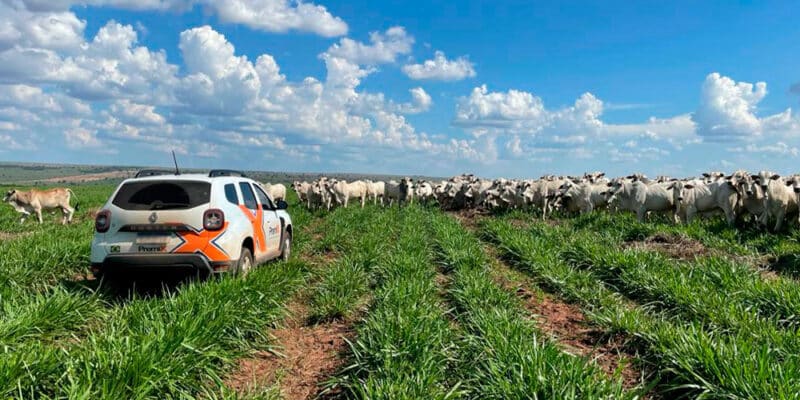 Imagem de campo com integração lavoura pecuária, contendo um veículo da empresa Premix e animais da raça nelore ao fundo.