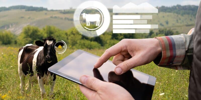Pecuária com Inteligência Artificial
