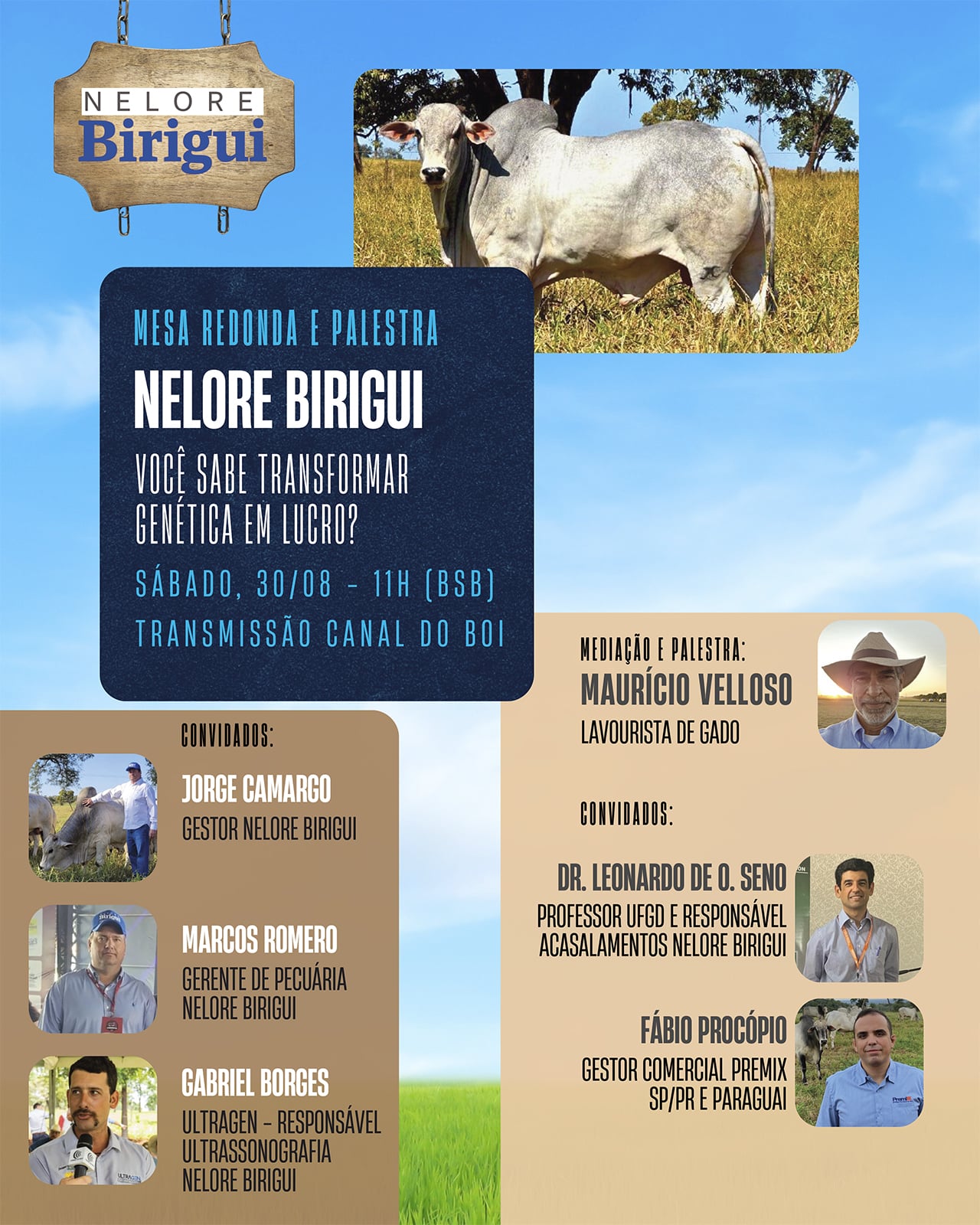 Reprodução: Nelore Birigui