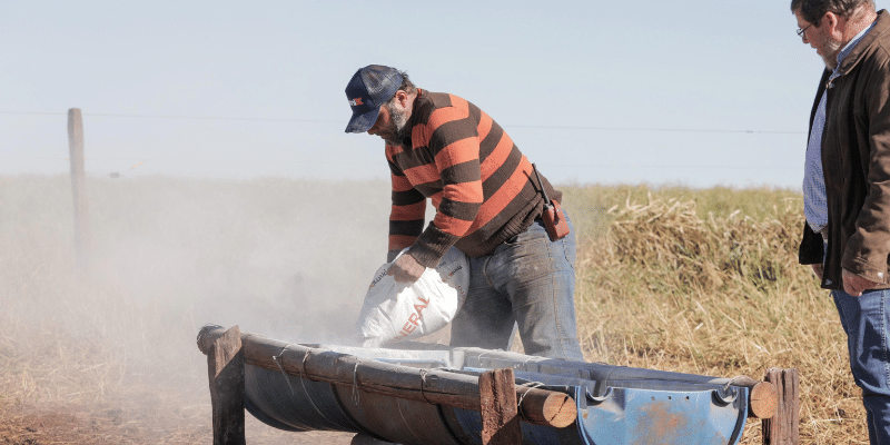 Fazenda Santa Virgínia | Premix