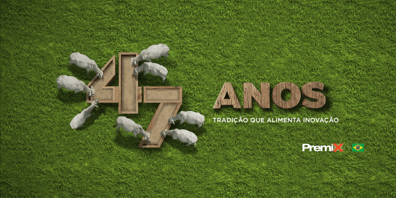 47 anos Premix