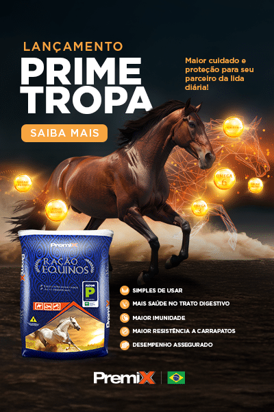 Novos produtos | Prime Tropa