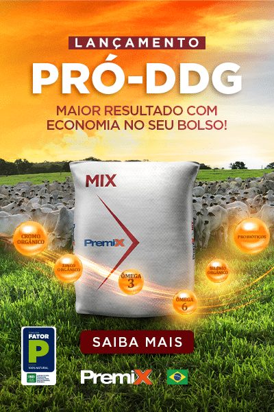 Novos produtos | Pró-DDG