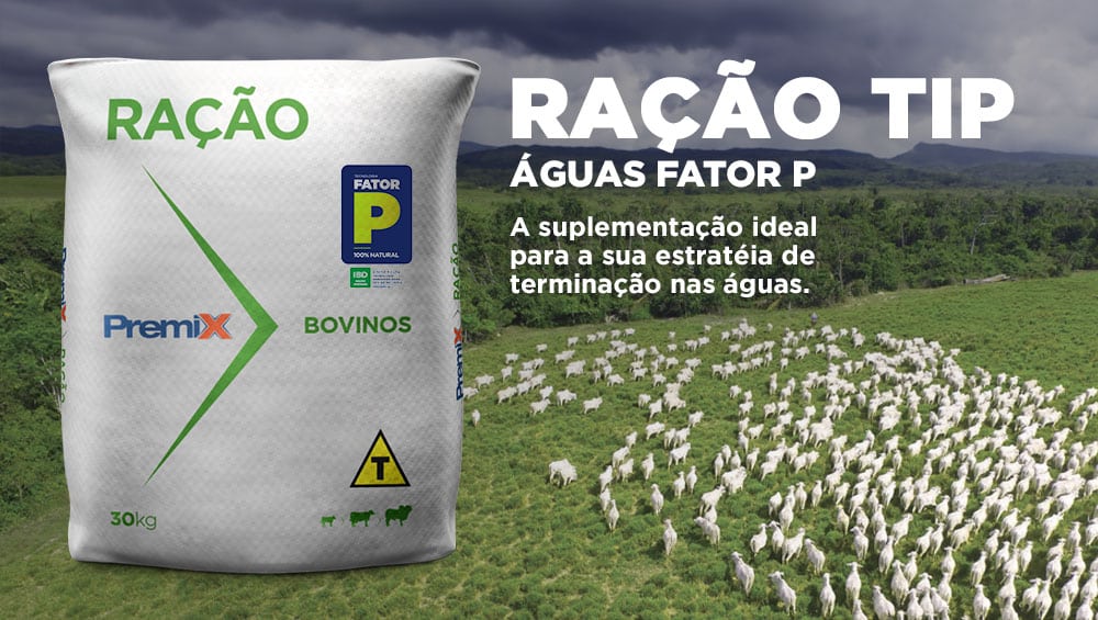 O que é a Terminação Intensiva a Pasto (TIP)