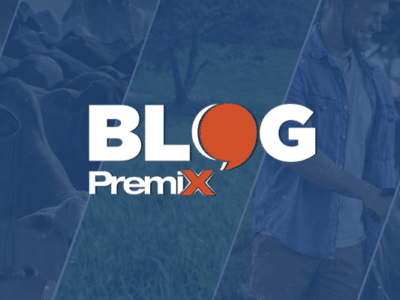 CAPA DE BLOG - BLOG PREMIX