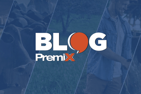 CAPA DE BLOG - BLOG PREMIX