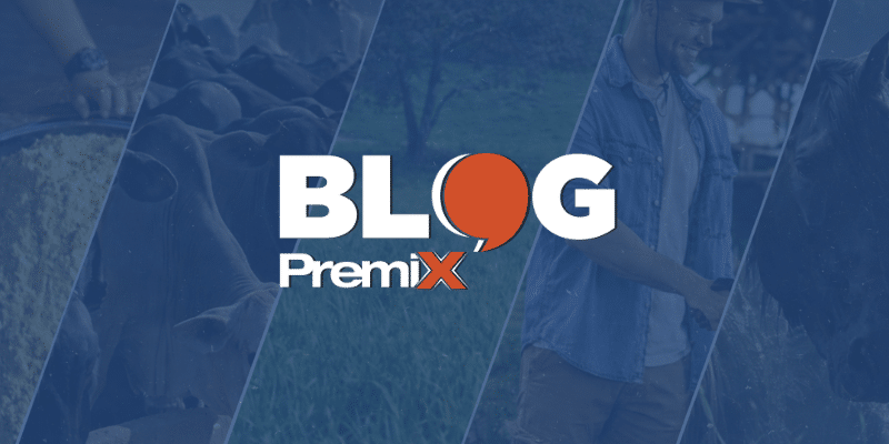 CAPA DE BLOG - BLOG PREMIX