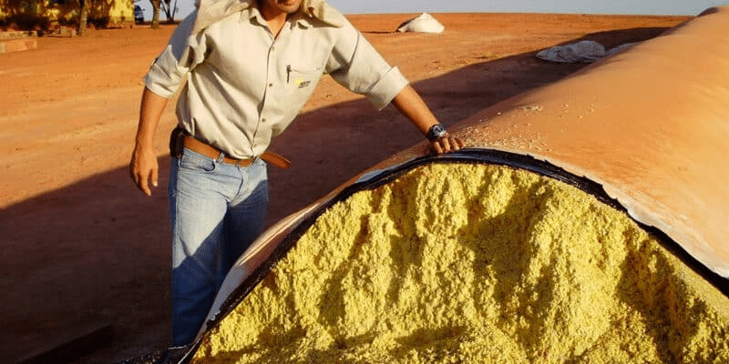 BLOG PREMIX | OS 05 CONTEÚDOS MAIS ACESSADOS DO BLOG PREMIX EM 2025