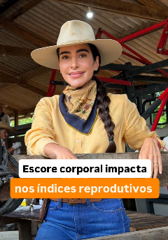 Premix & Carmen Perez: escore corporal impacta nos índices reprodutivos