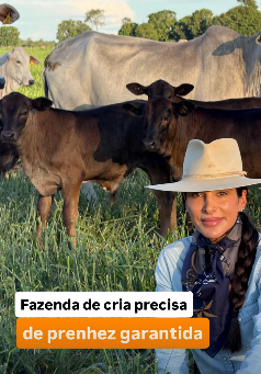 Premix & Carmen Perez: fazenda de cria precisa de prenhez garantida