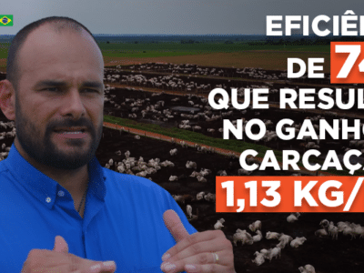Pecuária no Norte do Brasil: O Case de Sucesso da Agropecuária LJ com a Premix | Blog Premix