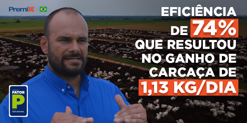 Pecuária no Norte do Brasil: O Case de Sucesso da Agropecuária LJ com a Premix | Blog Premix