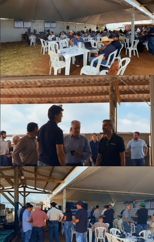 Desafio de Eficiência Alimentar e Performance CJSA