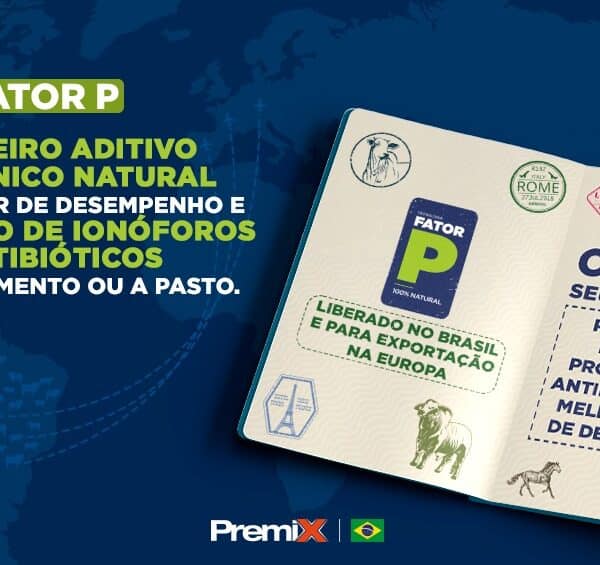 FATOR P | Blgo Premix