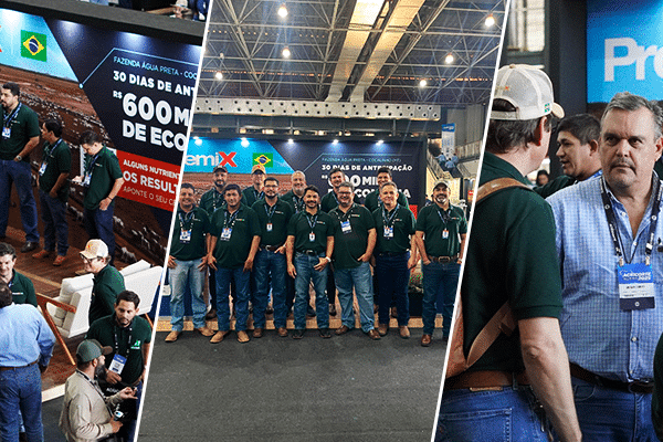ACRICORTE 2026 | BLOG PREMIX