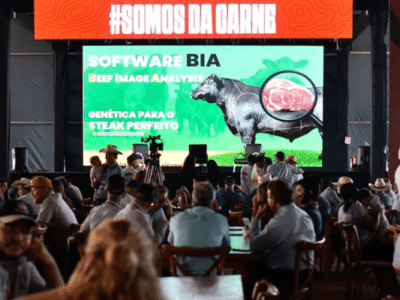 FEICORTE 2026 | BLOG PREMIX
