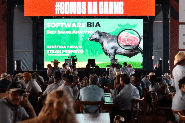 FEICORTE 2026 | BLOG PREMIX