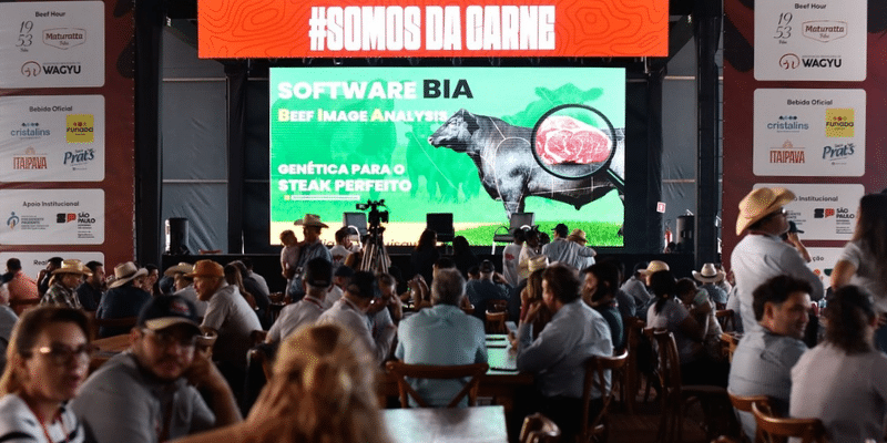 FEICORTE 2026 | BLOG PREMIX