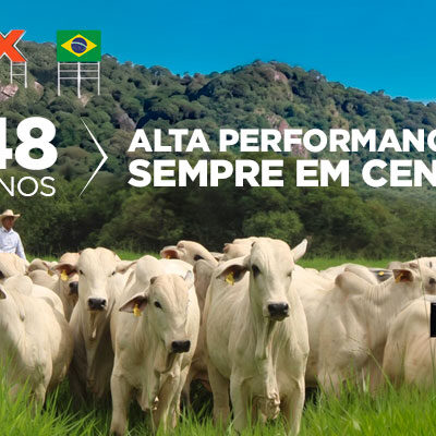 Premix 48 anos