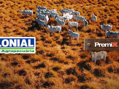 AGROPECUÁRIA COLONIAL | PREMIX