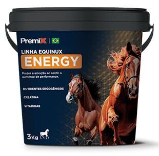 equinux_energy