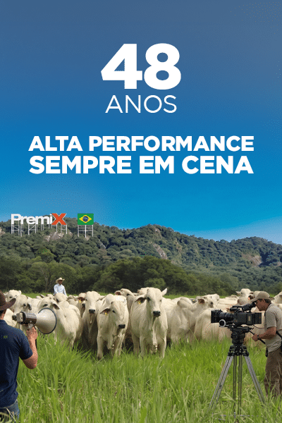 Premix é referência de peso em nutrição Premix é referência de peso em nutrição