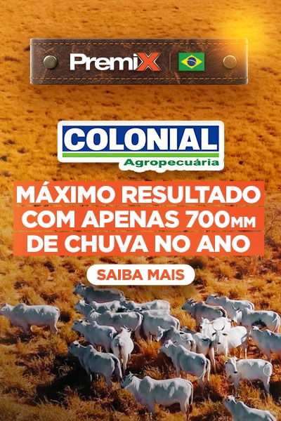 Premix é referência de peso em nutrição